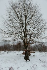 olgakoch-foto-paderborn-6713